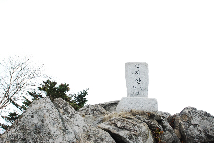 크기변환_DSC_0133.JPG