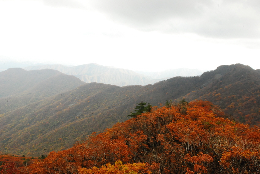 크기변환_DSC_0142.JPG