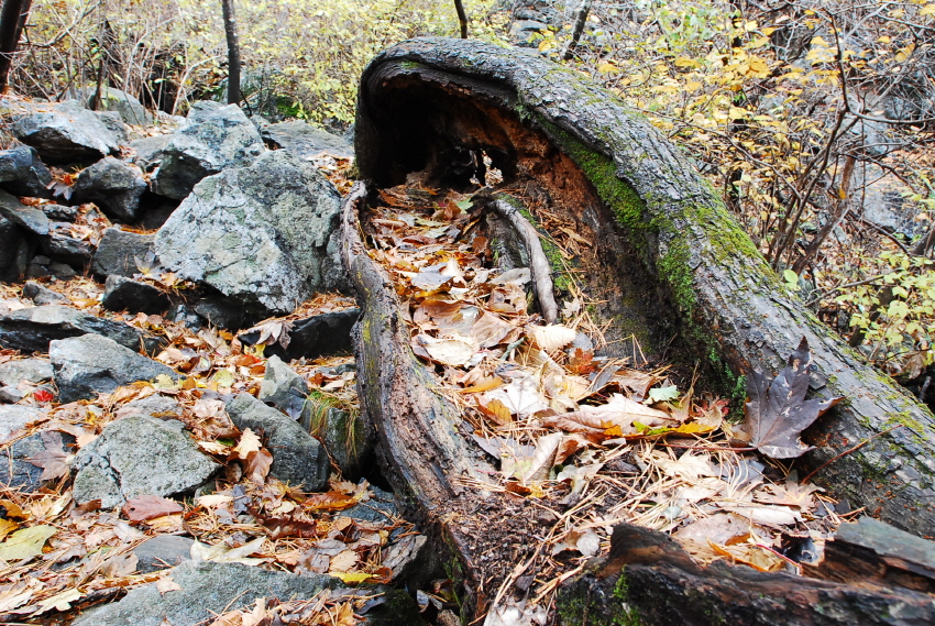 크기변환_DSC_0114.JPG