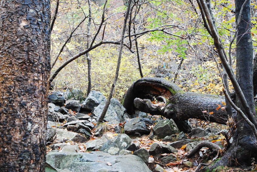 크기변환_DSC_0113.JPG