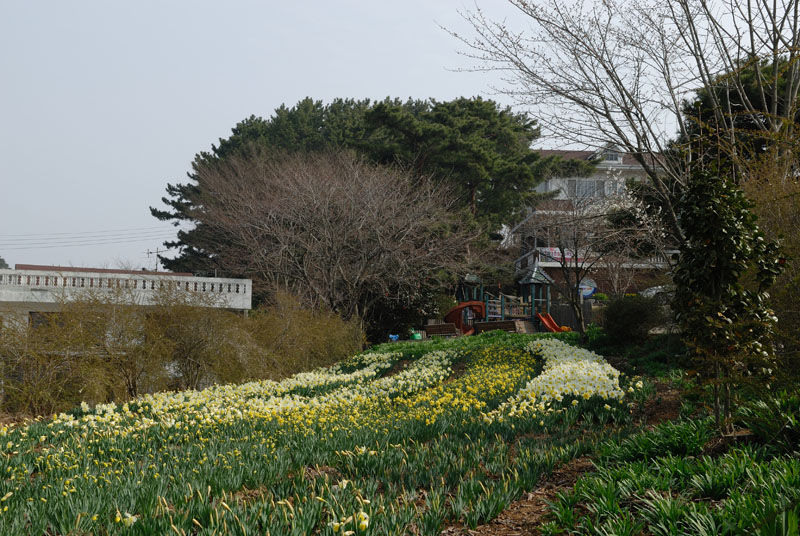 DSC_7931-1.jpg