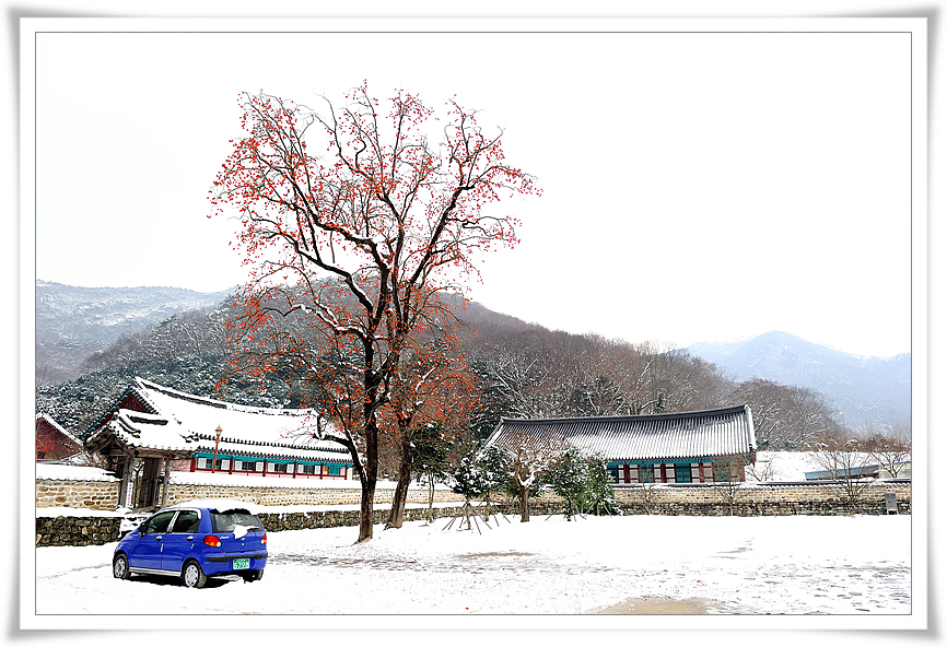 DSC_4921-1.jpg