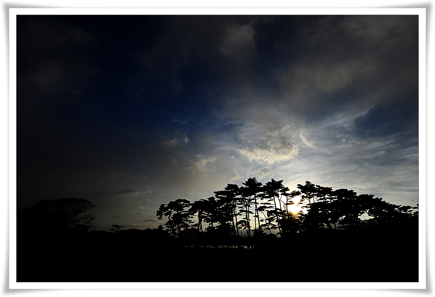 DSC_1549-1.jpg
