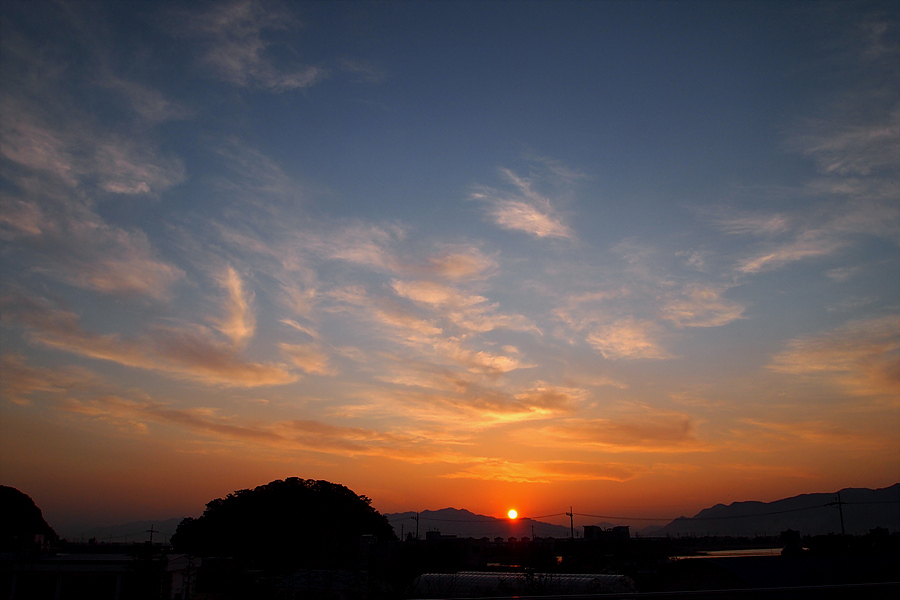 P7050327.jpg