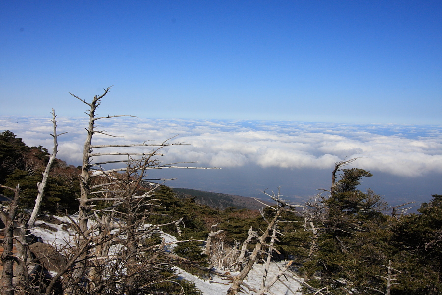 20100128_078.JPG