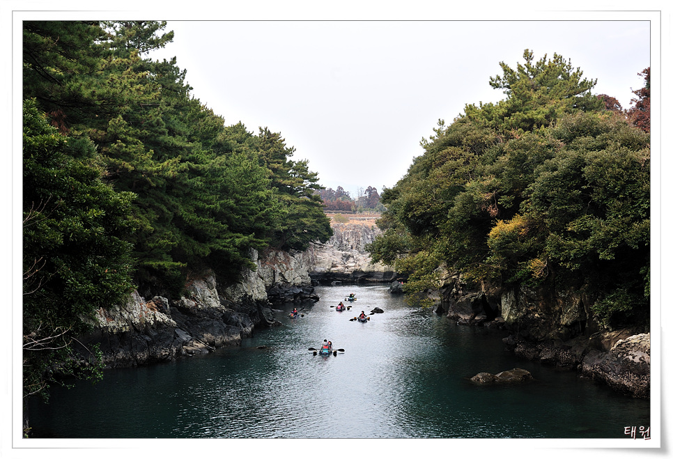 DSC_0149.jpg