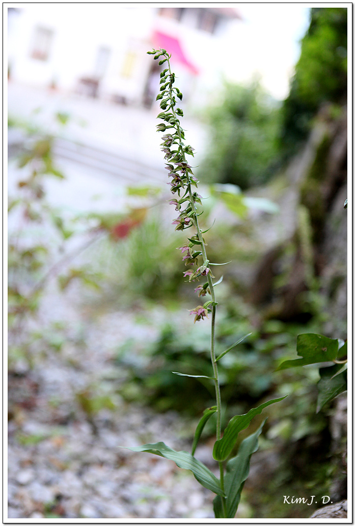 사진61 008.jpg