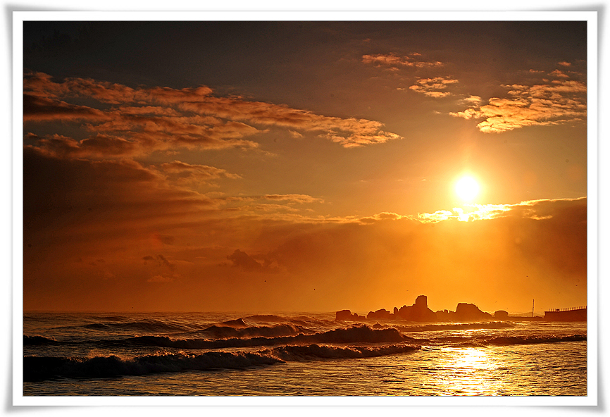 DSC_2320-1.jpg