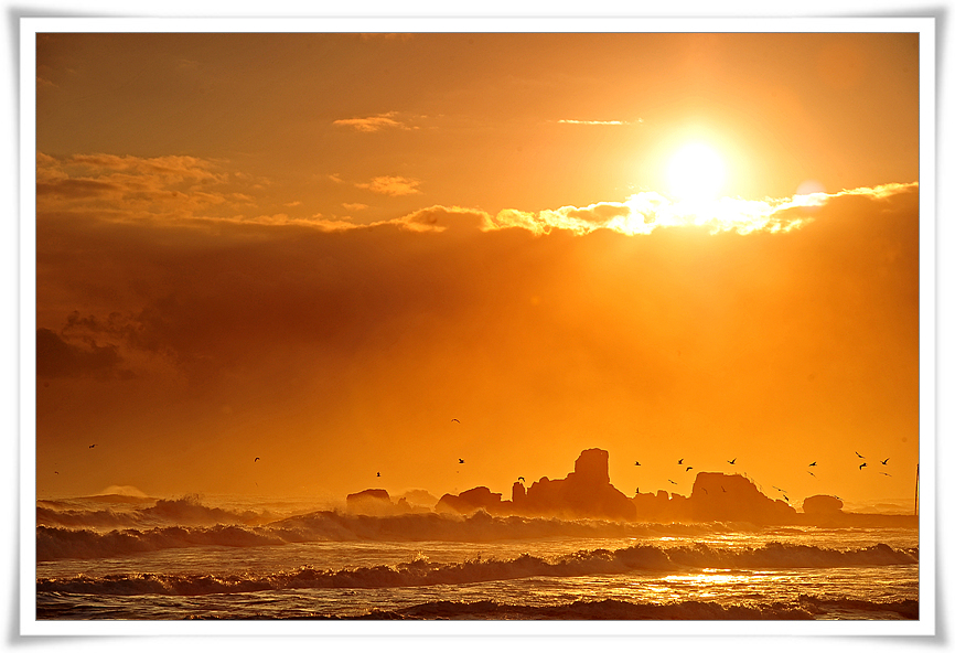 DSC_2298-1.jpg
