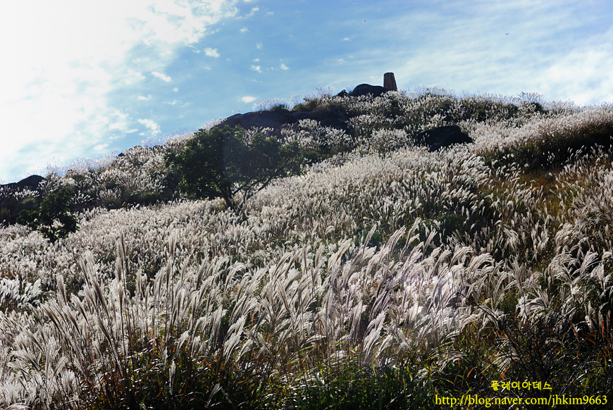 DSC_0734.jpg