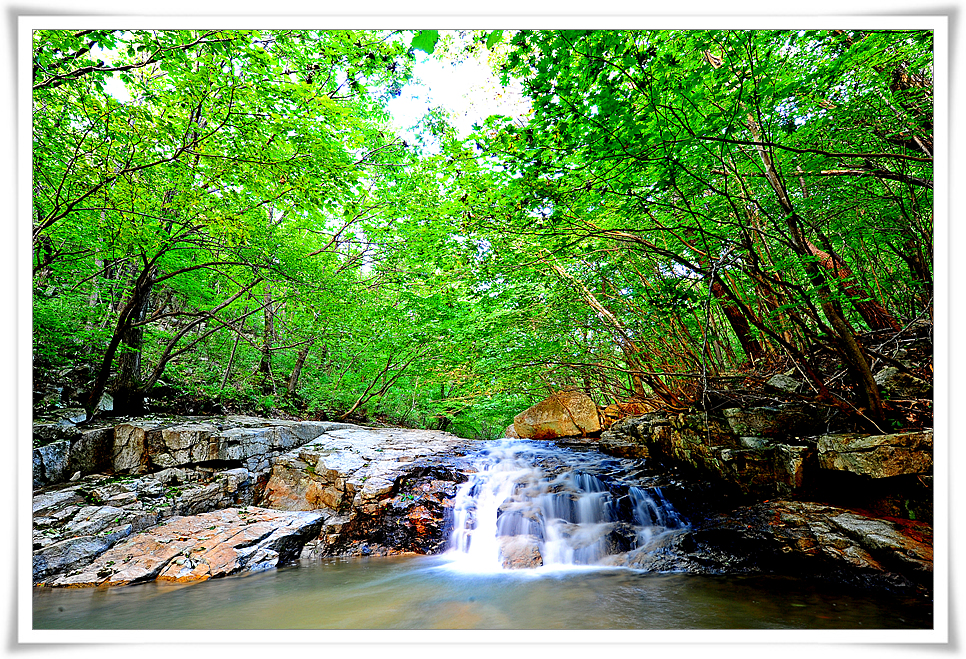 DSC_2454-1.jpg