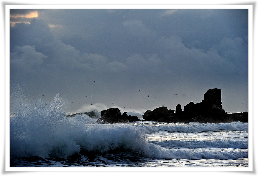 DSC_2088-1.jpg