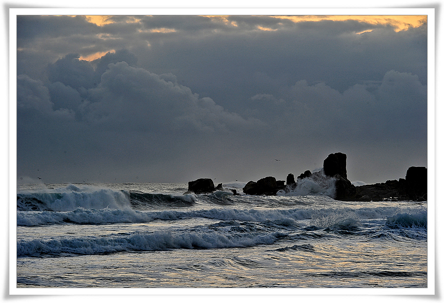 DSC_2119-1.jpg