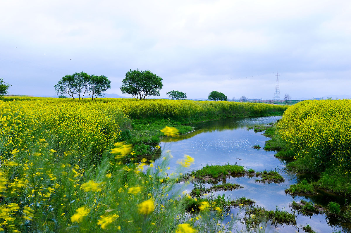 DSC_6386.jpg