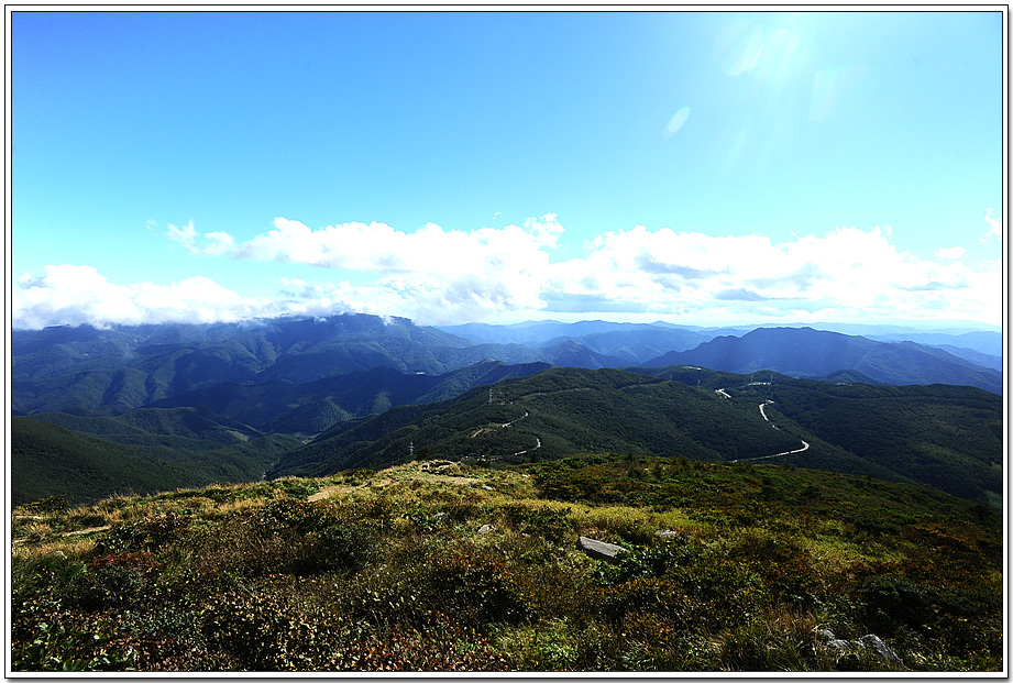 20100923_8726.jpg