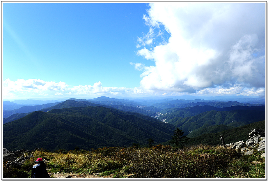 20100923_8718.jpg