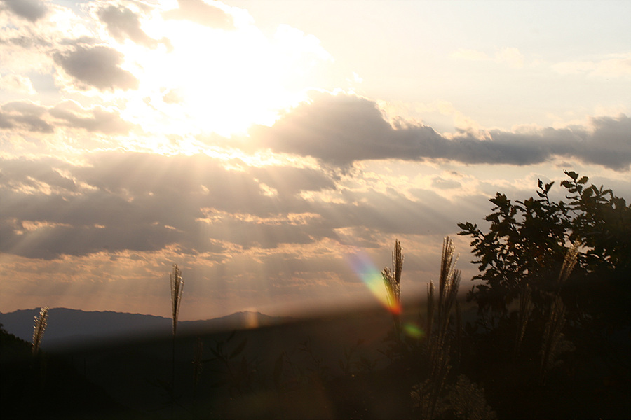2009.10.04 212.jpg
