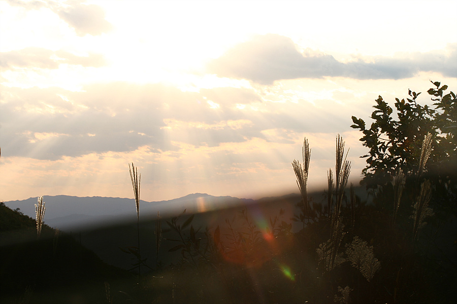 2009.10.04 211.jpg