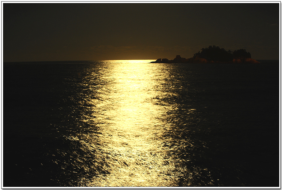 20100925_9295.jpg