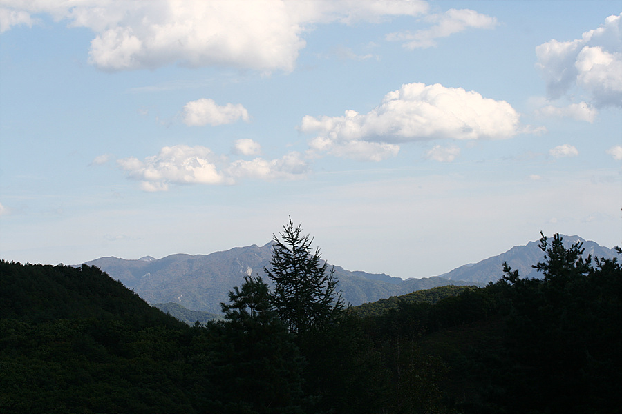 2009.10.04 099.jpg