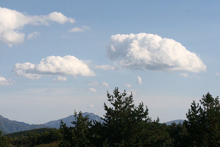 2009.10.04 101.jpg