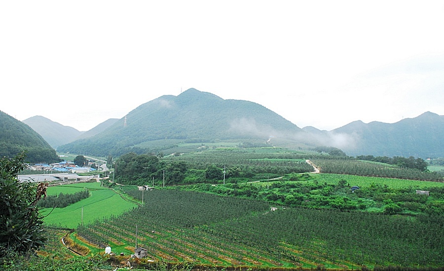 09-056 cheungsong 333ss.jpg