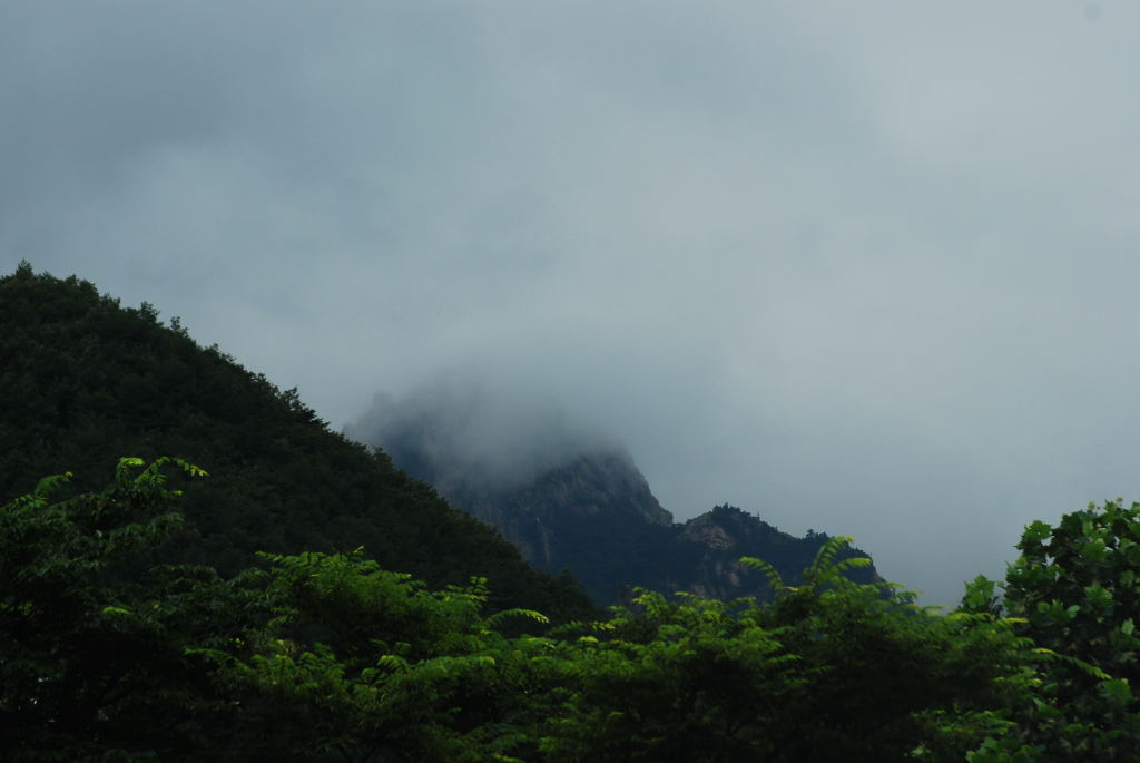 564.JPG