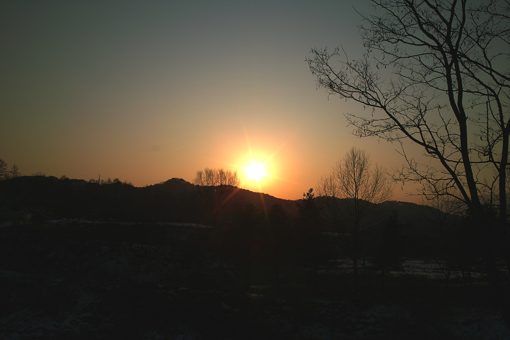 SDIM0044.jpg