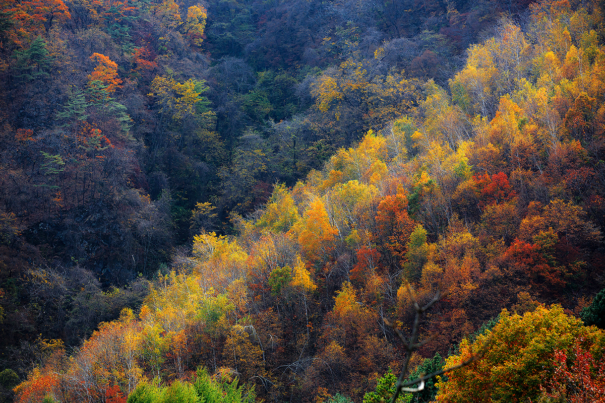 수산리_2861.jpg