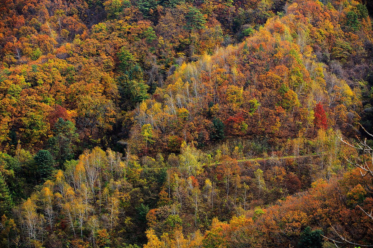 수산리_2858.jpg