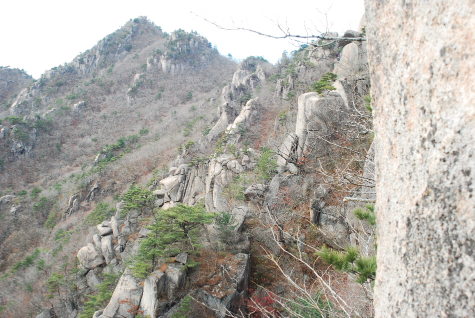 크기변환_DSC_0087.JPG