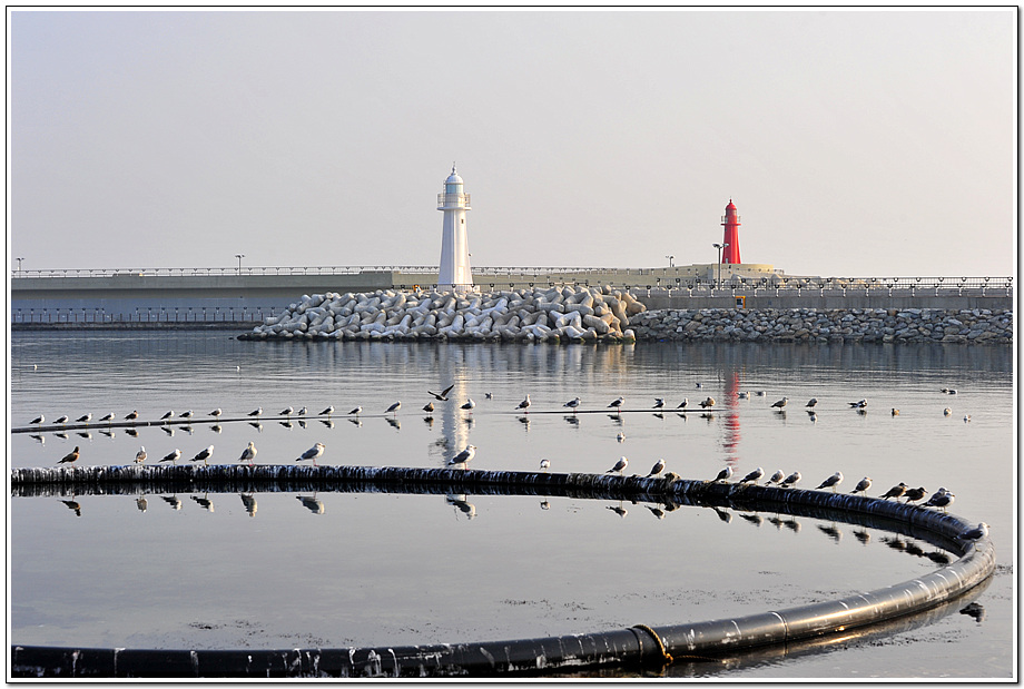 DSC_1183_0153 사본.jpg