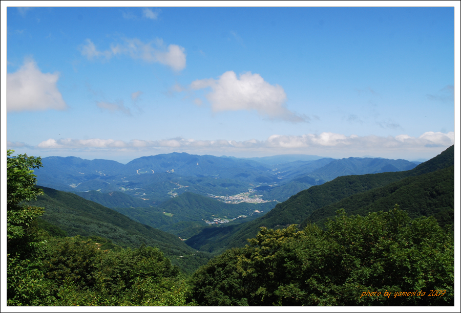 DSC_2078.jpg