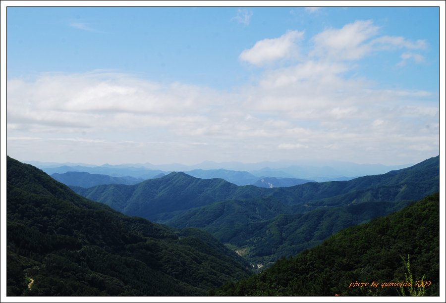 DSC_2018.jpg