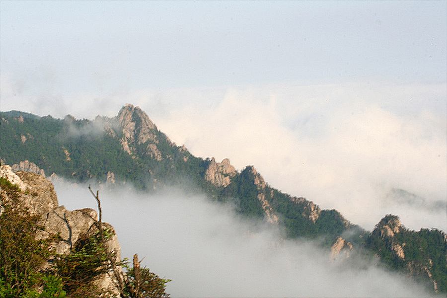 20090606 663.jpg