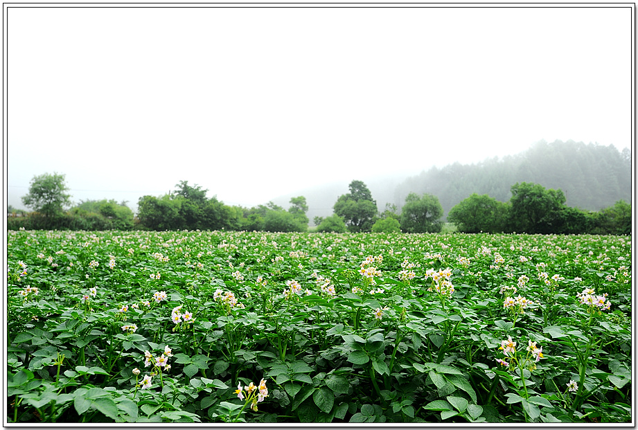 20100710_2572.jpg