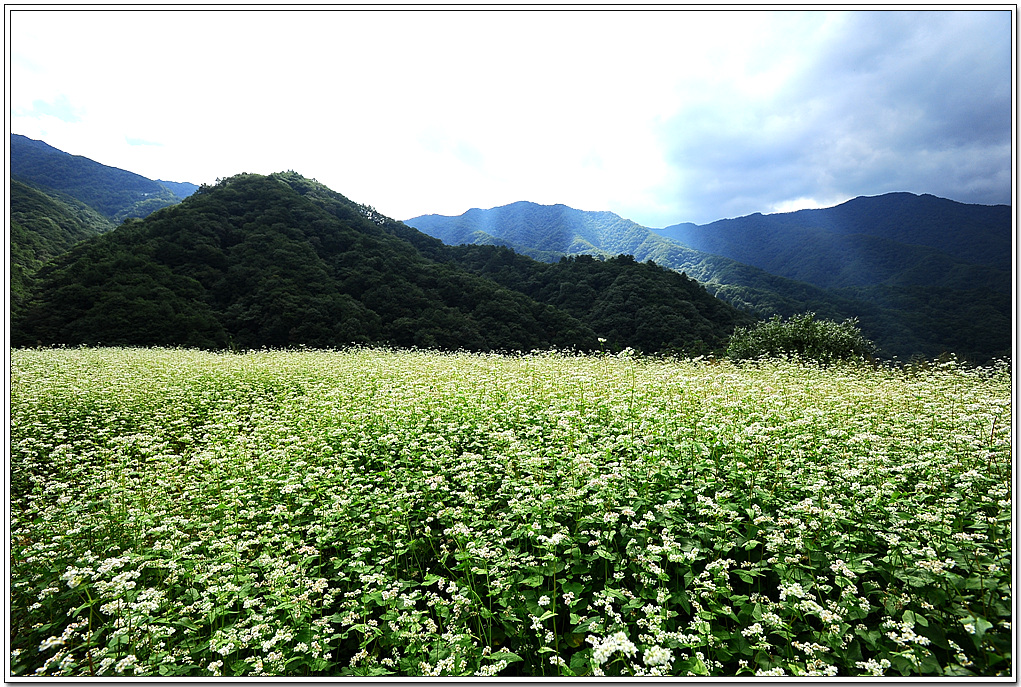 20100927_9527.jpg