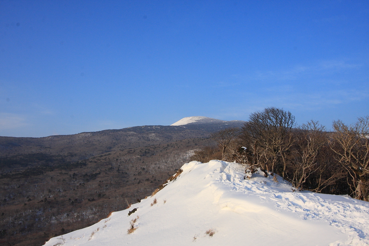 IMG_6085.JPG