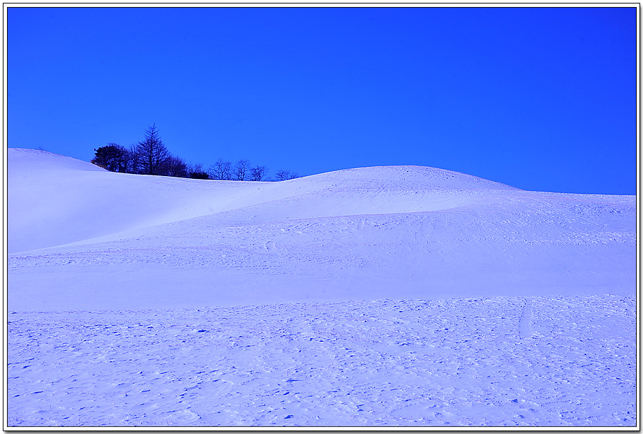 DSC_367920110112_216.jpg