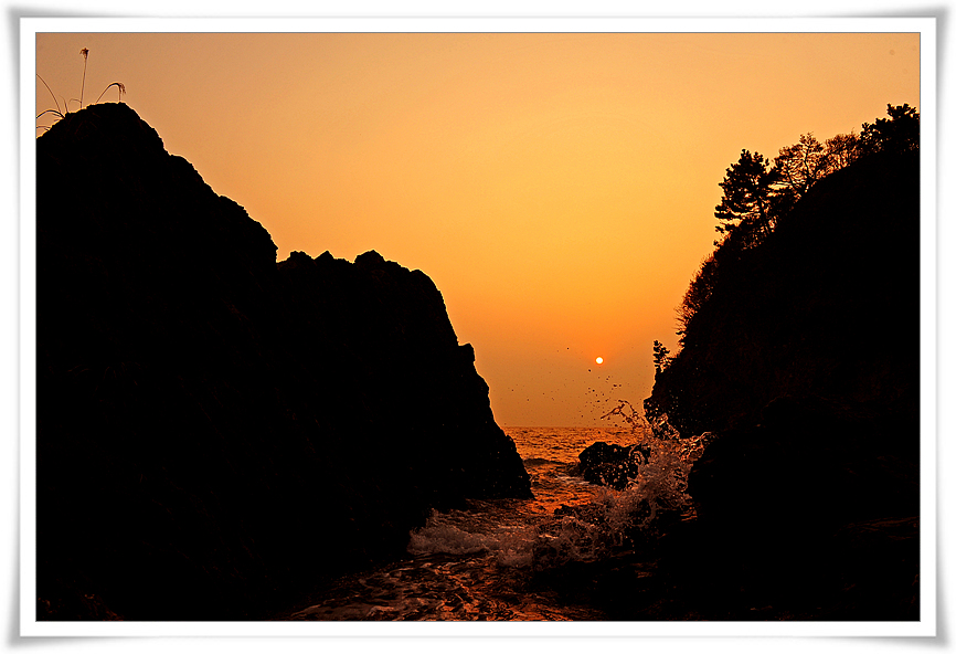 DSC_8567-1.jpg
