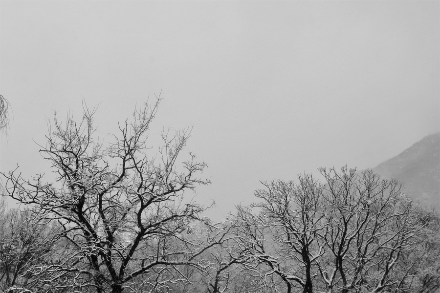 DSC_9958 보정.jpg