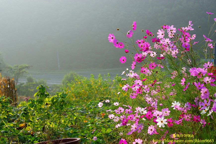 DSC_9477.jpg