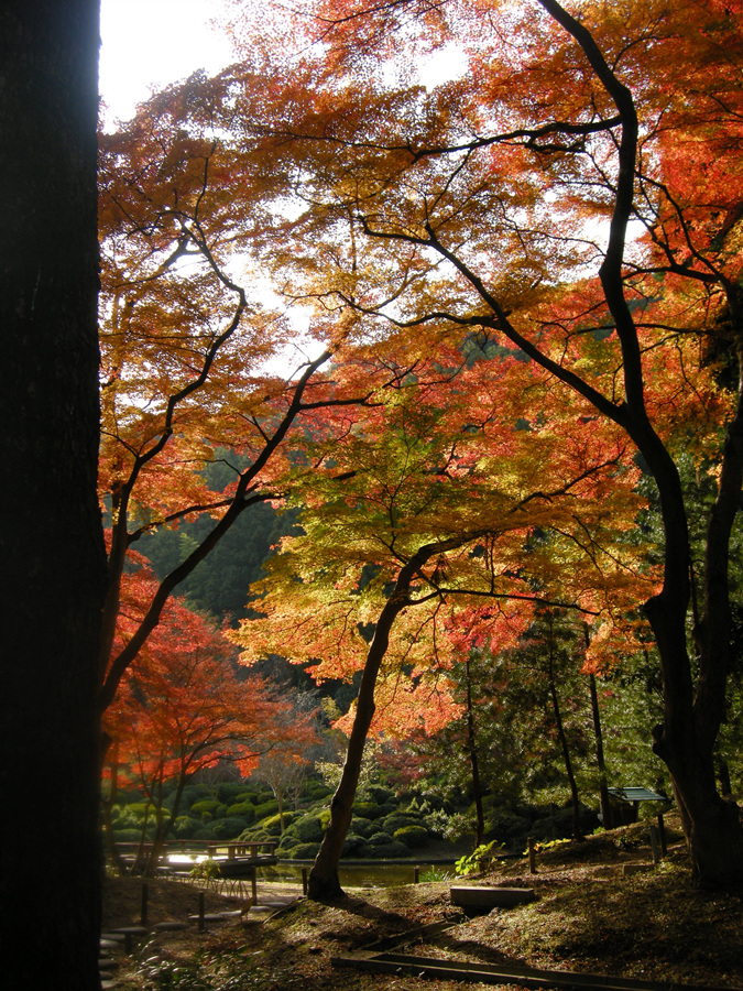 DSCN3735.jpg