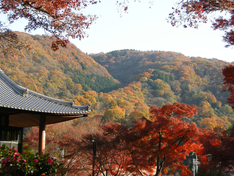 DSCN3689.jpg