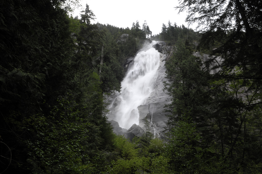 shannon fall.jpg