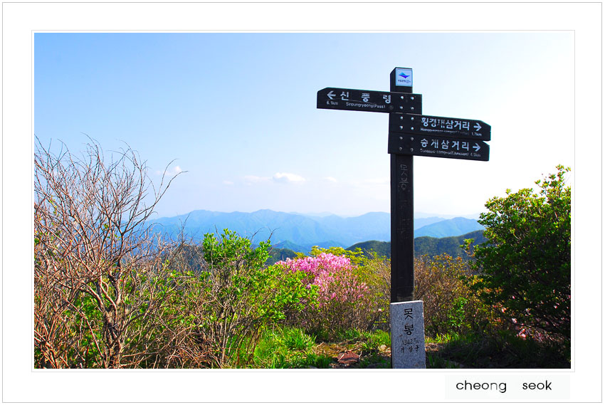 덕유산꽃을찿아.jpg