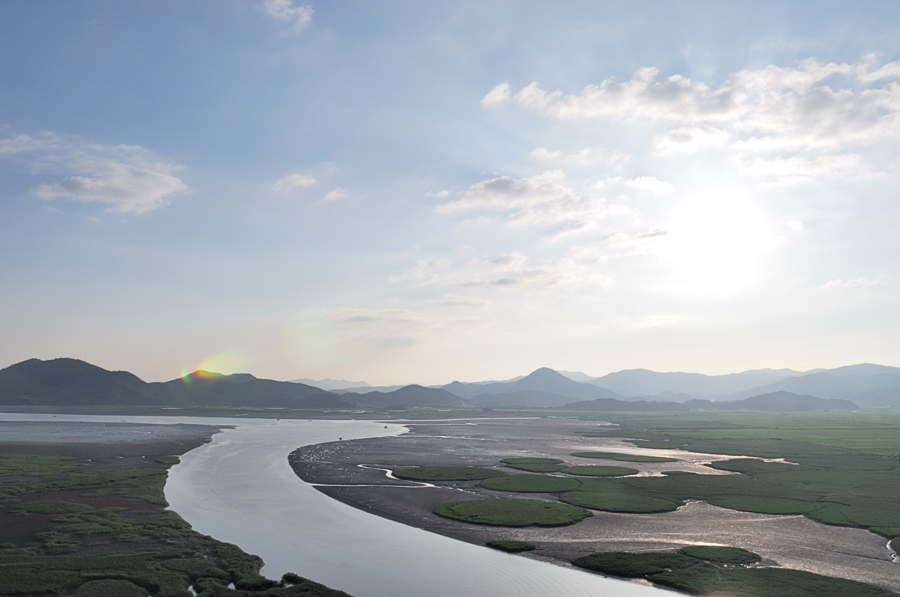 순천만DSC_3956.JPG