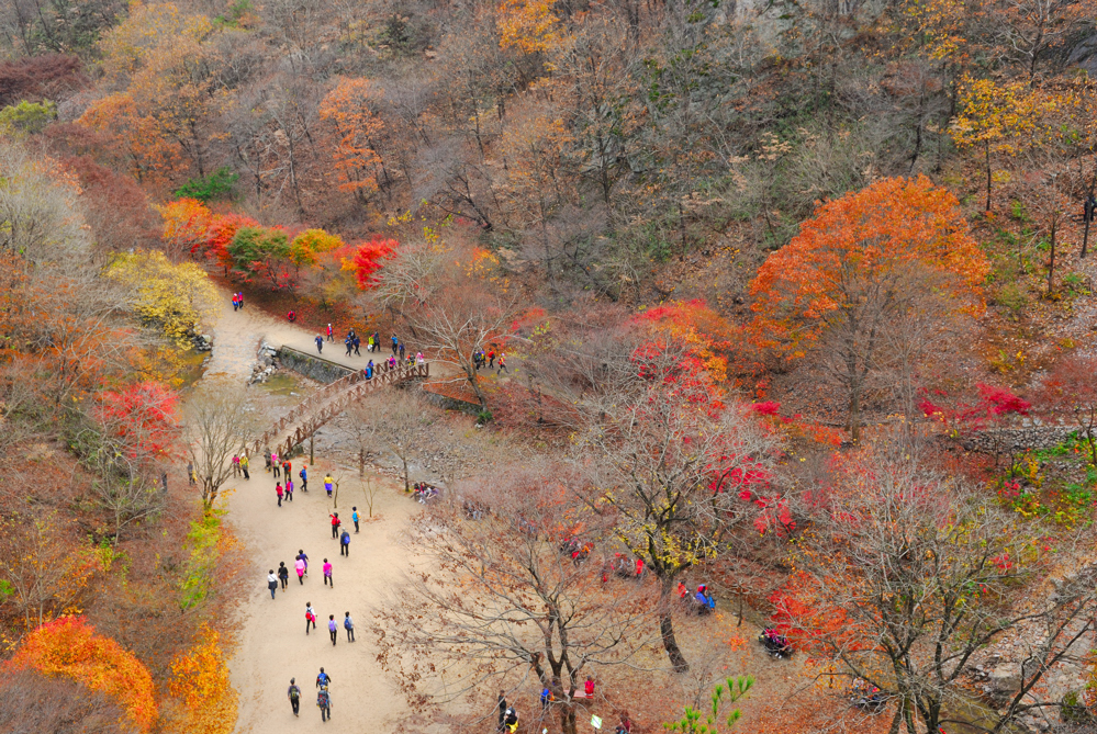 DSC_3214-1.jpg
