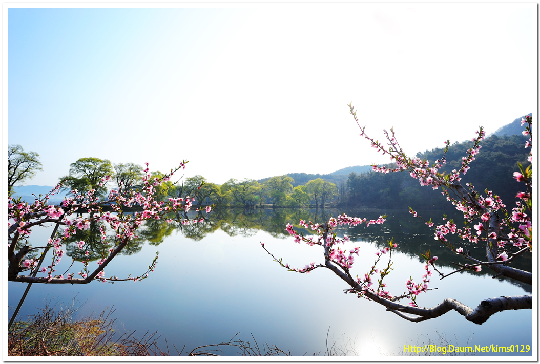 130413반곡지 064_01.jpg