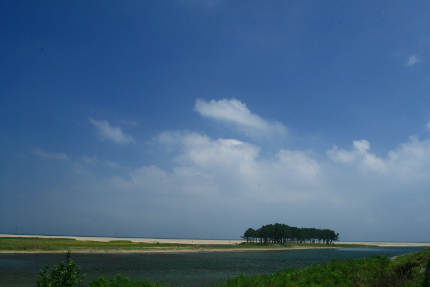 90816-18 223.jpg